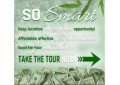 Turn 2 Hours A Day into a Profitable Online Business