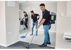 Best Service For Carpet Cleaning in Feltham