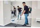 Best Service For Carpet Cleaning in Feltham