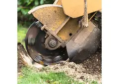 Best Service For Stump Grinding in Amersham