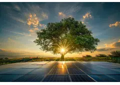 Best solar panel manufacturer company in Rajasthan
