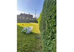 Best Service For Hedge Cutting in Shirebrook