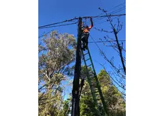 Electrical Repairs Sydney | Zaz Electrical