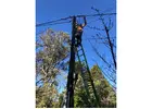 Electrical Repairs Sydney | Zaz Electrical