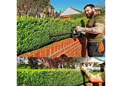 Best Service for Garden Maintenace in Whetstone