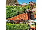 Best Service for Garden Maintenace in Whetstone