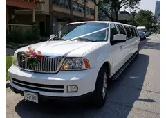 Best Wedding Limo Service in Pine Grove
