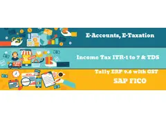 Why Accounting Professionals Will Be Highly Sought After in 2025, 100% Job, Accounting