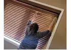 Best Service For Residential Painting in Bradford