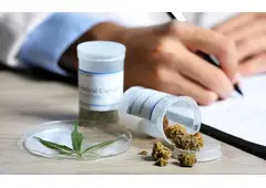 Doctors in Georgia Medical Marijuana