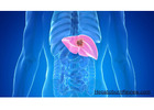 Premium Liver Detox Support supplement - Hepatoburn