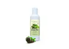 Green Tea Extract