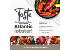 Live and Steamed Lobster