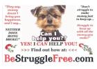 Fastest Growing Company Now Has Openings  Work From Home!