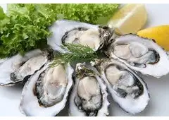 We Deliver Oysters