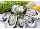 We Deliver Oysters