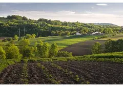 Investment Opportunity Agriculture Land For Sale Vadodara