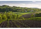 Investment Opportunity Agriculture Land For Sale Vadodara