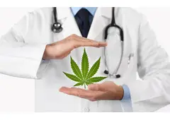 Medical Marijuana Card Doctors