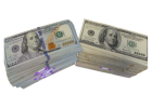 Save Money, Make Money! Hottest Business of 2025!