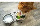 Pet food Suppliers in UAE