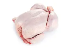 Frozen Whole Chicken Exporter to Saudi Arabia