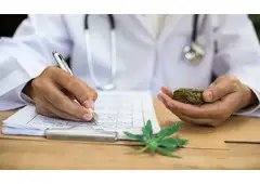 Medical Marijuana Doctors In Georgia