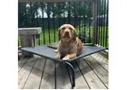 Best Dog Boarding in Poplar Hill
