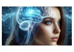 Online Business, Automatically Built!