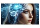 Online Business, Automatically Built!