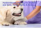 Buy Fenbendazole ED Pill Online Safe Generic Life