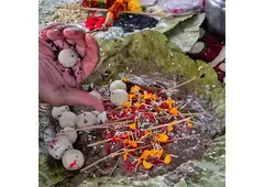 Pinda Pradanam