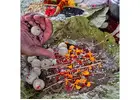 Pinda Pradanam