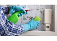 Best Service For End Of Tenancy Cleaning in Daubhill