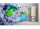 Best Service For End Of Tenancy Cleaning in Daubhill