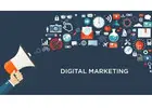 Boost Your Business with SEO + PPC – Double the Results!