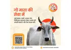 Nourish a Life with an Online Donation for Gaushala