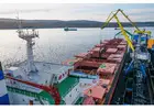 Bulk Shipping Services