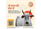 Uplift Cow Welfare – Your Gaushala Donation Matters