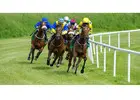 Horse Racing Trading Strategies That Actually Work on Betfair