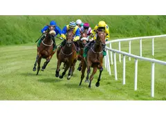 Expert Insights on the 8 Biggest Horse Races in the World