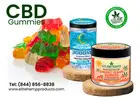 Power CBD Gummies – Happiness in Every Chew
