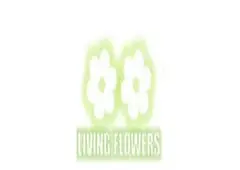 florist essendon north - Living Flowers