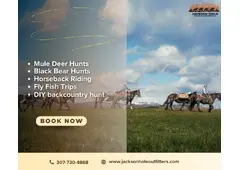 Why Do Travelers Prefer Exploring on Horseback?