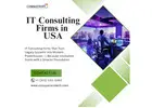 IT Consulting Firms in Florida | Conquerors Tech