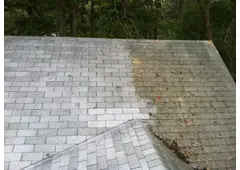 Affordable Roof Cleaning Near Me Riversdale