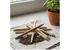 Seed Pens & Plantable Pencils – Sustainable Eco-Friendly Stationery