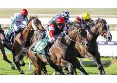 What Does Place Mean in Horse Racing Explained