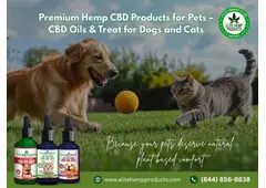 Premium Hemp CBD Products for Pets — Shop Now!