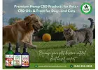 Premium Hemp CBD Products for Pets — Shop Now!